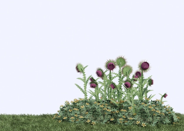 Фото Цветочные растения фиолетовой и желтой травы