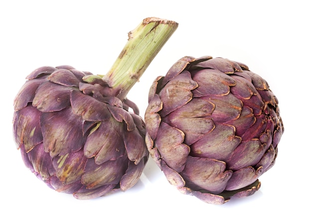 purple artichoke in studio