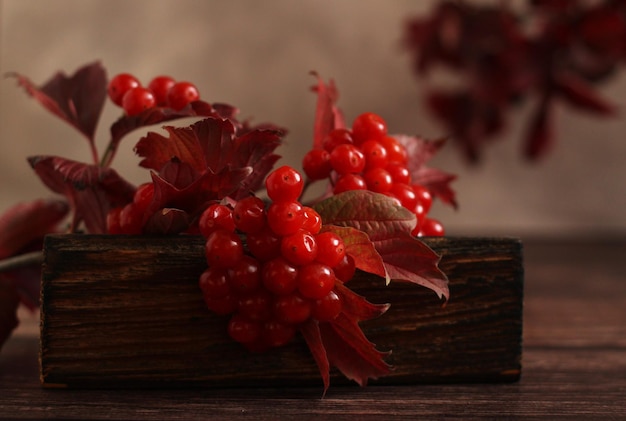 Purple autumn branch of viburnum with fresh berries on a wooden box