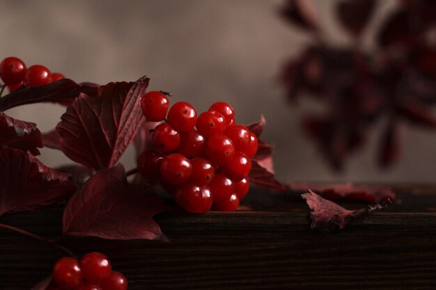 Purple autumn branch of viburnum with fresh berries on a wooden box