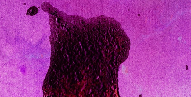 Photo a purple background with a cat on it