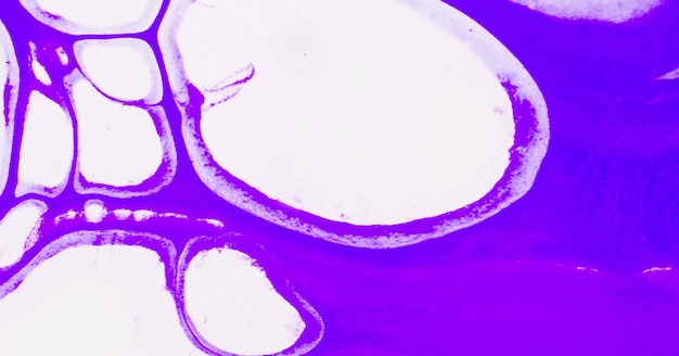 Photo a purple background with a white line in the middle