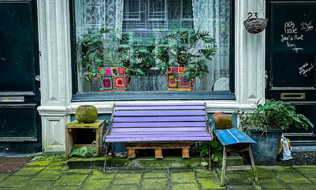 A purple bench outside of a house with a window with plants