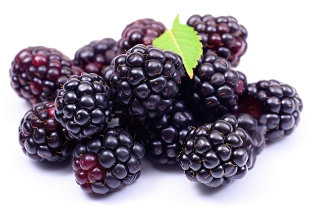 Purple Blackberries Closeup On White Background