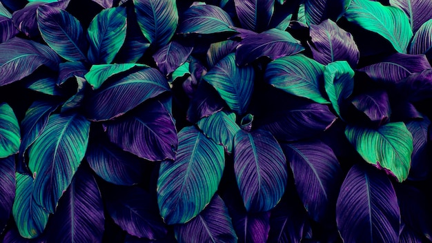 Purple and blue tropical leaves background