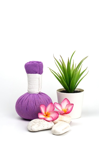 A purple body scrub with a green plant and a flower.