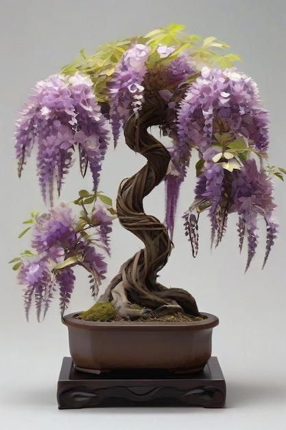 Photo purple bonsai tree hd 8k wallpaper stock photographic image