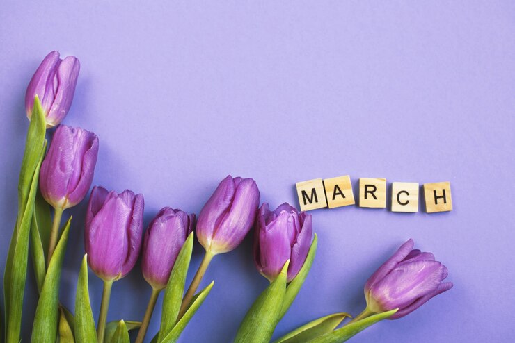 Photo purple bouquet of flowers tulips background with with the word march on veri peri background