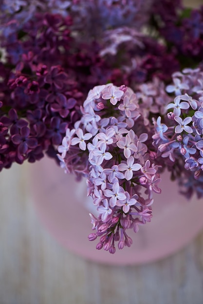 ピンクの花瓶のライラックの紫色の枝は繊細で美しい花です