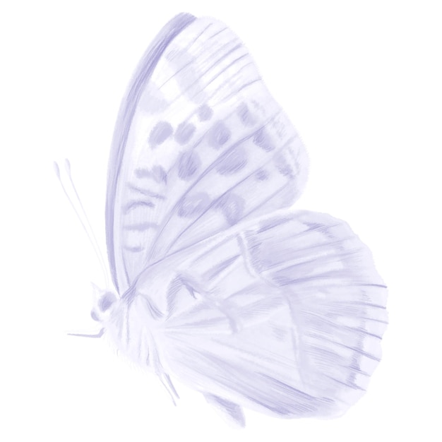 purple butterfly png sticker aesthetic illustration on transparent background