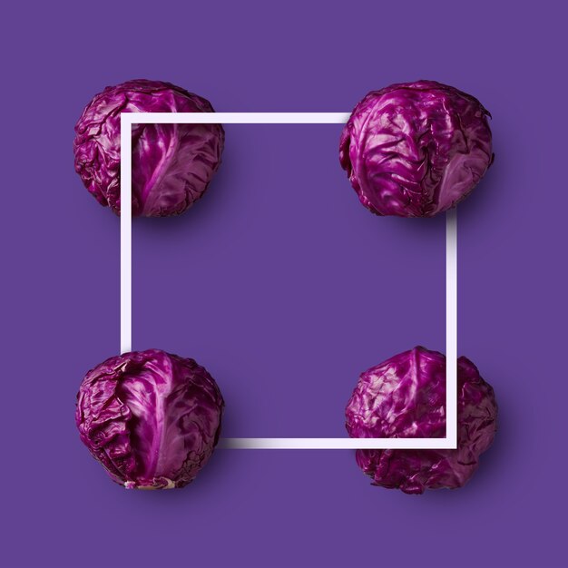 Purple cabbage isolated on purple background