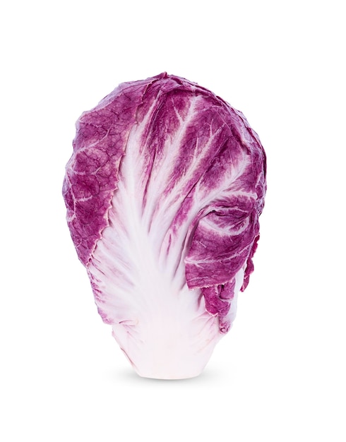 Purple cabbage isolated on white background