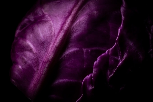 Purple cabbage lit on a black surface