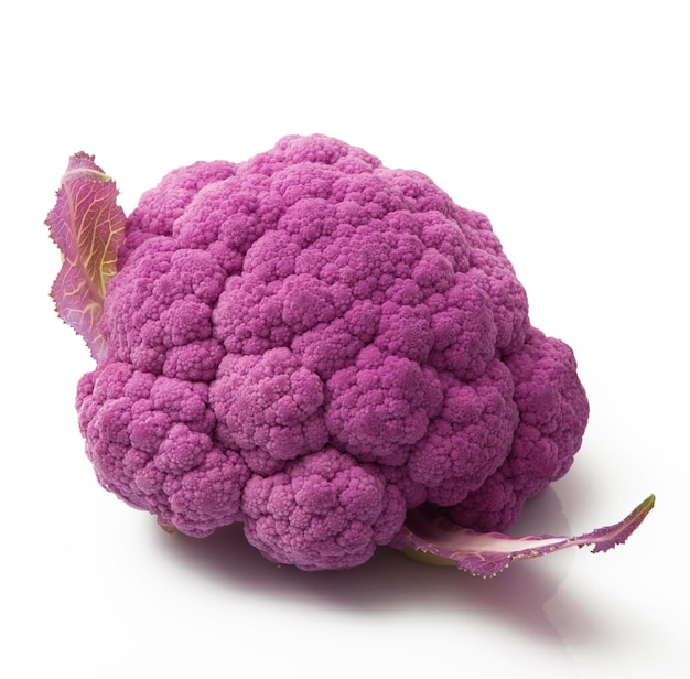 Purple cabbage on white background