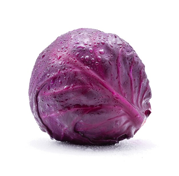 Purple cabbage with water drops isolated on white background.