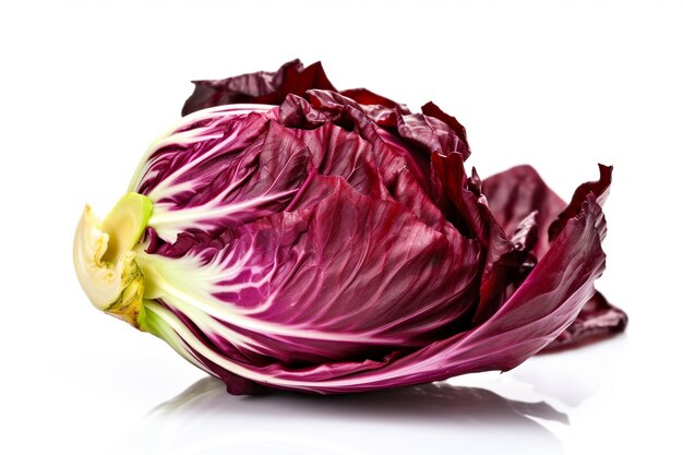 A purple cabbage with a white background