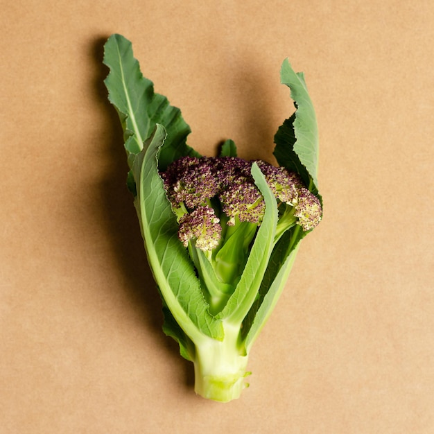 Purple cauliflower with leaves on orange background.