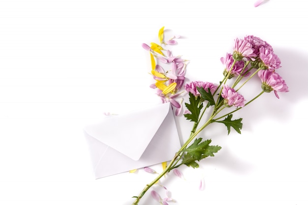 Purple chrysanthemum, petals and paper envelope