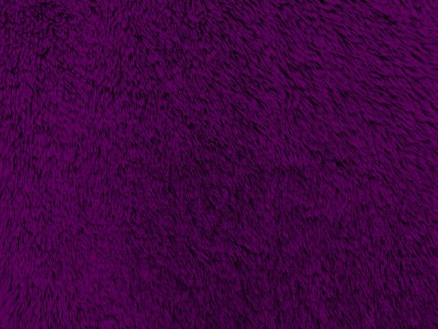 Purple clean wool texture background light natural sheep wool\
purple seamless cotton texture of fluffy fur for designers closeup\
fragment violet wool carpet