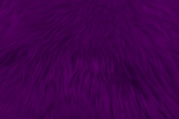 Purple clean wool texture background light natural sheep wool\
white seamless cotton texture of fluffy fur for designers closeup\
fragment white wool carpetx9
