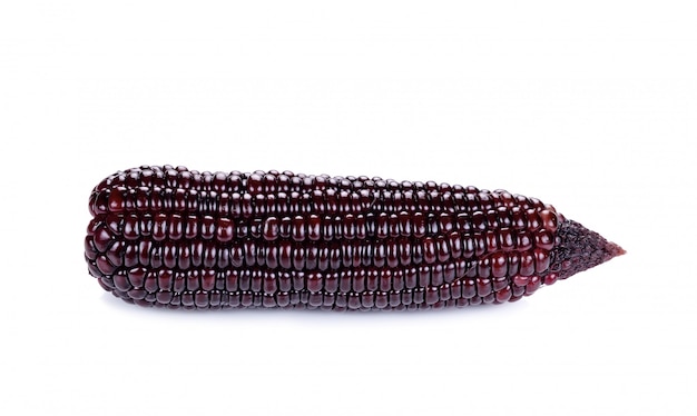 Purple corn isolated on white background