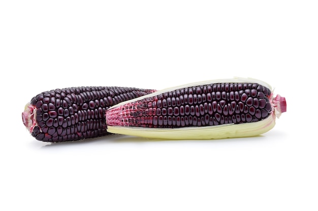 Purple corn on white background