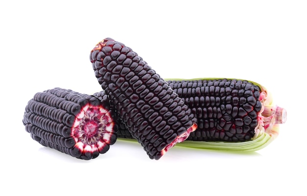 Purple corn on a white