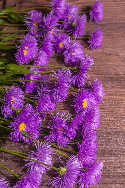 Purple decorative daisies on wooden background. Flower creative concept, flat lay, place for text