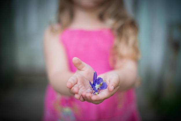 A purple flower in the hands of a child