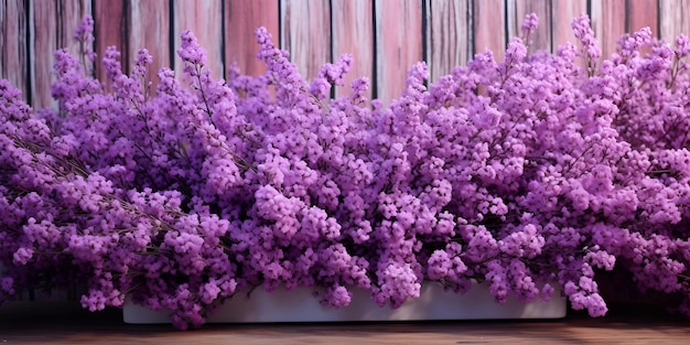 purple flower image beautiful hd wallpaper