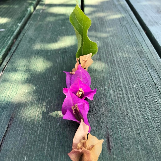 Photo a purple flower is on a green board