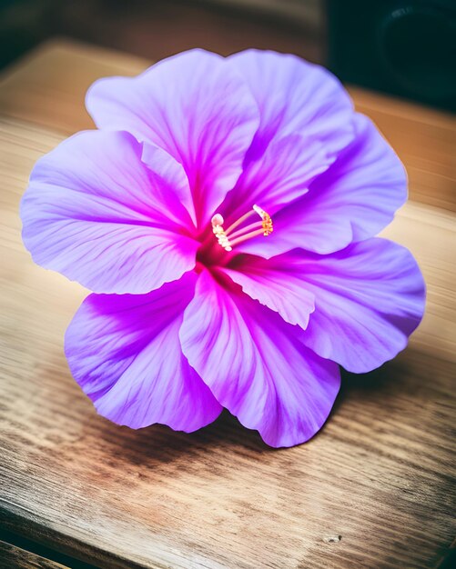 A purple flower is on a wooden table.