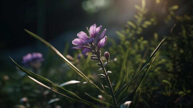 A purple flower in the sun