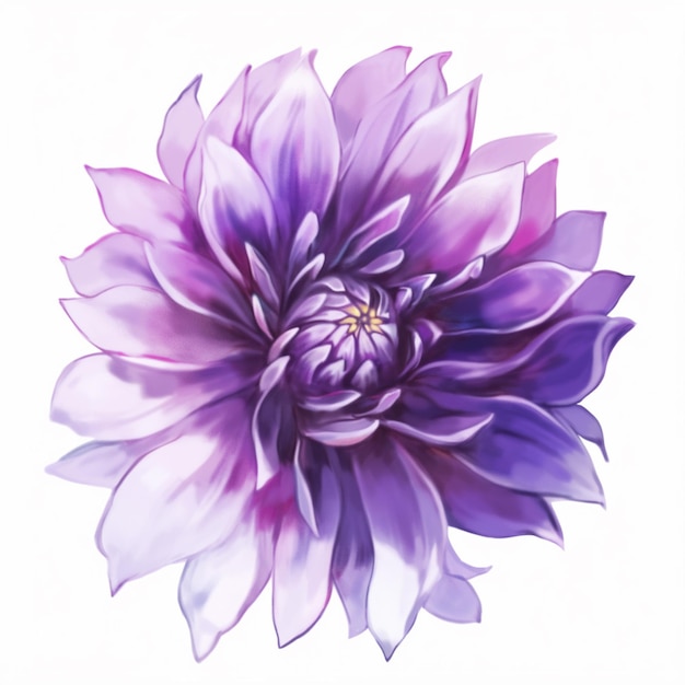 Фото Фиолетовый цветок с белым фоном