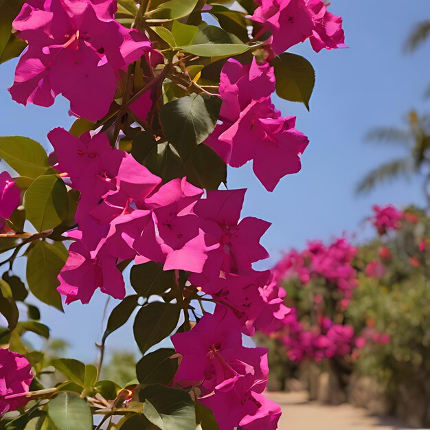 Photo a purple flower with green leaves and pink flowers