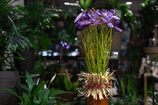 Purple flower with a long stem decorations in a pot on a background of a greenhouse