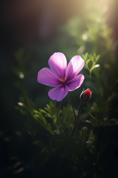 背景に赤いつぼみを持つ紫の花