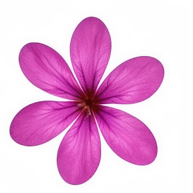 A purple flower with a red center and the center of the flower