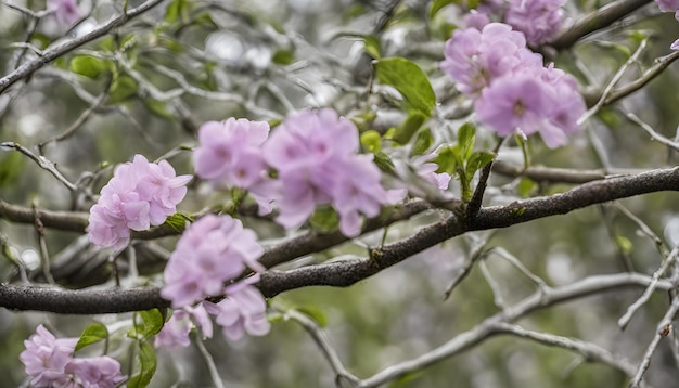 紫色の花に春という文字が書かれています