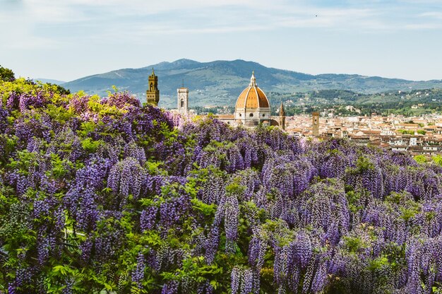 写真 空に照らして建物のそばに紫の花を ⁇ かせる植物 - フィレンツェの歴史的中心部のヴィラ・バルディニからの景色