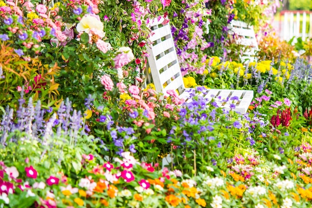 庭で紫の花をかせる植物