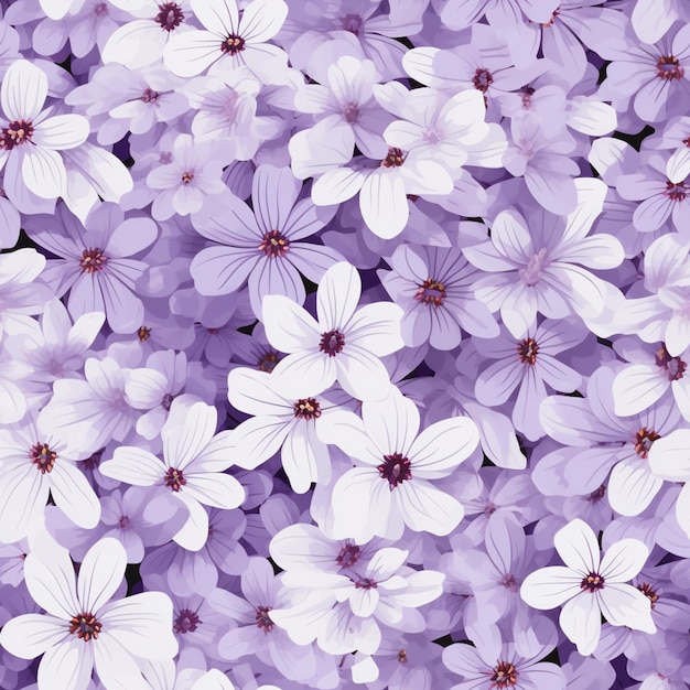 写真 紫の花が白い花の畑に 生まれる