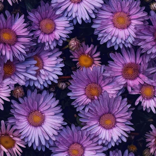 Purple flowers are in a pool of water.