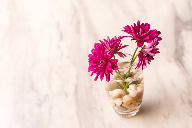 purple flowers in glass vase