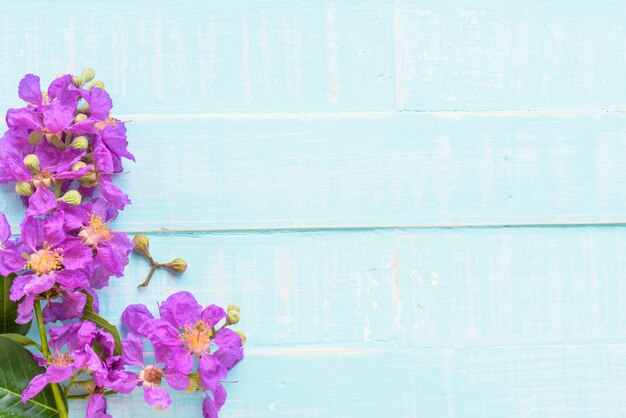 Photo purple flowers on a pastel bright blue wooden background.