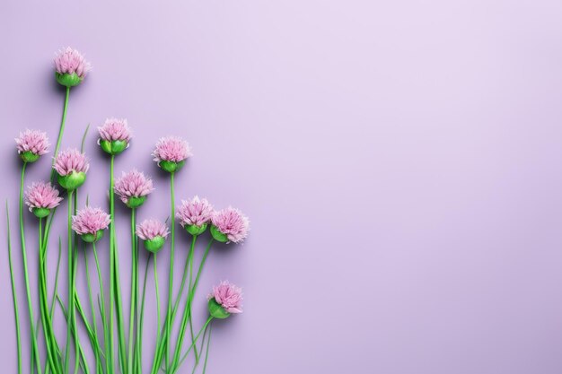 Purple flowers on a purple background with a purple background