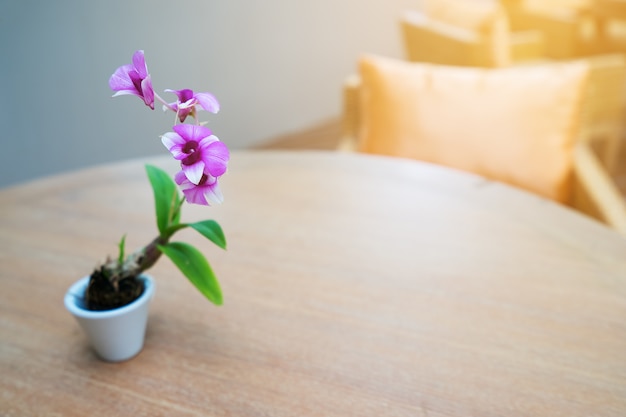 紫の花はテーブルと美しい朝の太陽を設定します。