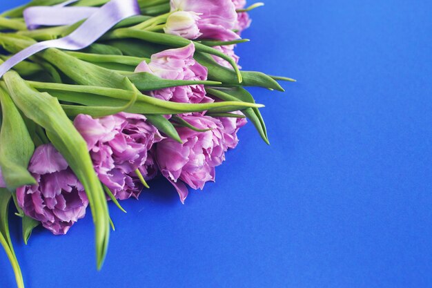 Purple flowers tulips on a blue background with copy space