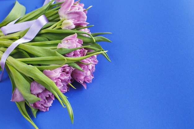 Purple flowers tulips on a blue background with copy space