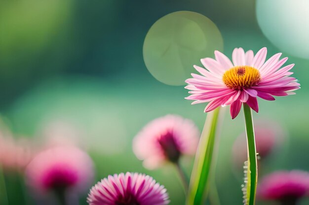 Purple flowers in a vase with a blurred background